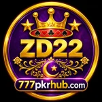 zd222 game